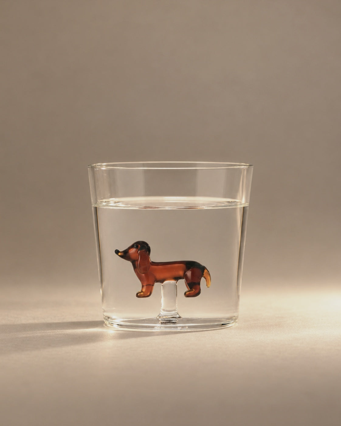 Dog Tumbler filled with water, an amber dachshund inside, photographed in the Son of Rand studio