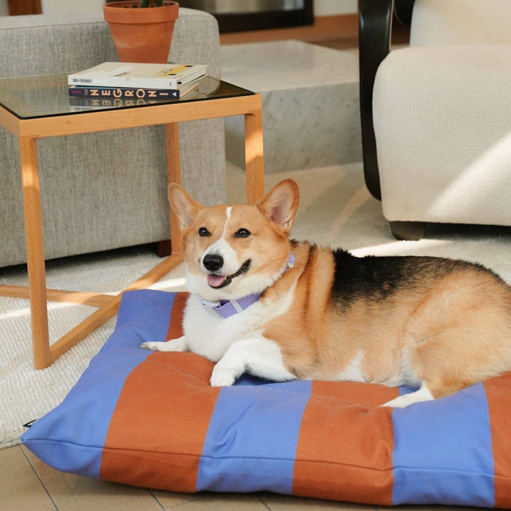 The Fritz Dog Bed