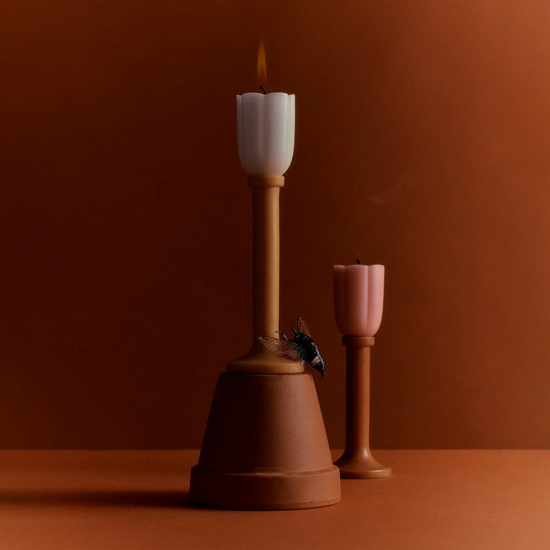Two tulip-shaped candles on brown surface with a fly on the larger candle holder