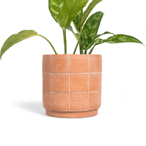 Grid Large Terracotta Planter