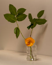 Ripple Cup in Clear