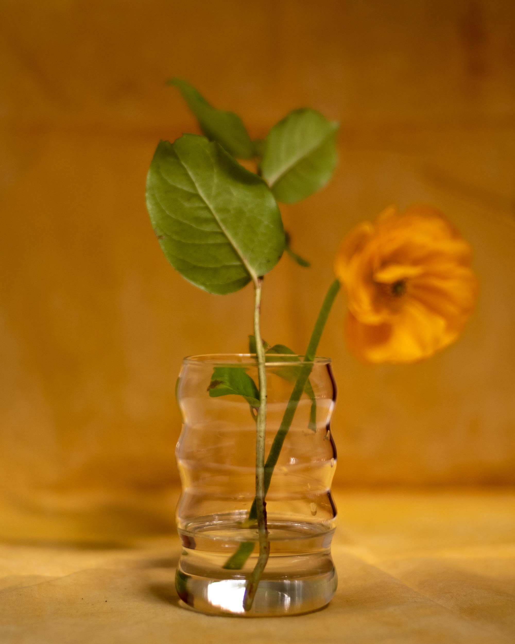 Ripple Cup in Clear