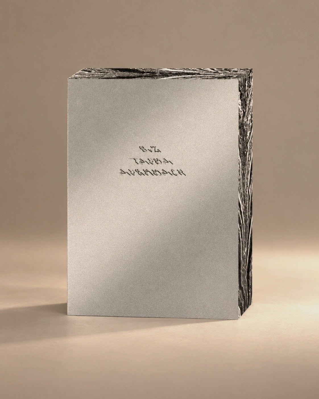S v Z - Tauba Auerbach studio image