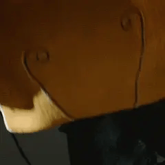 Cello apron