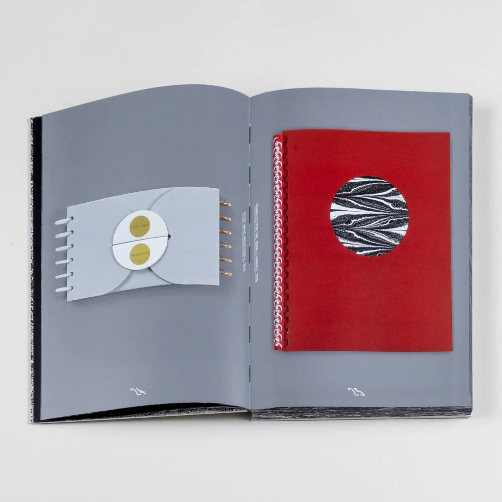 S v Z - Tauba Auerbach