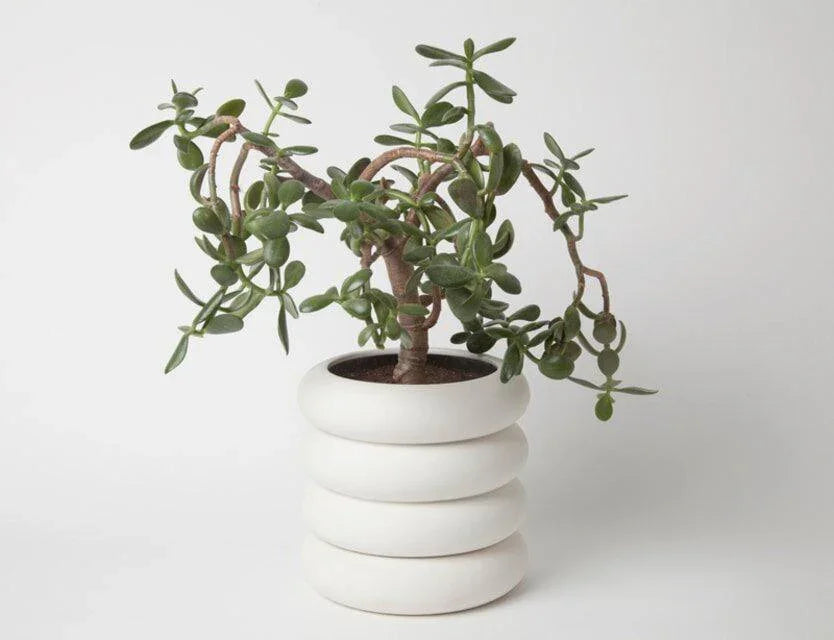 Stacking Planter in White - Son of Rand