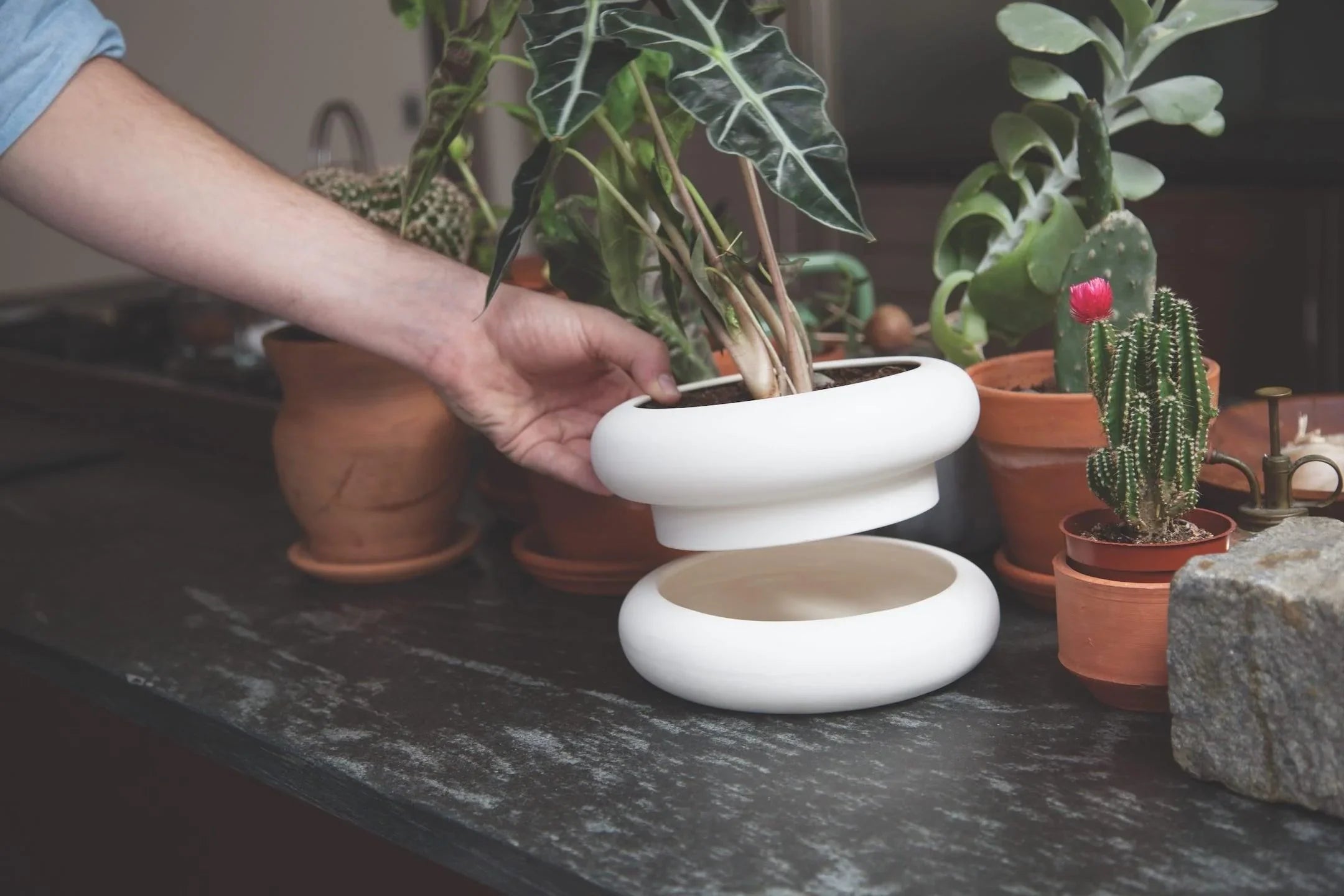 Stacking Planter  - Short - Son of Rand